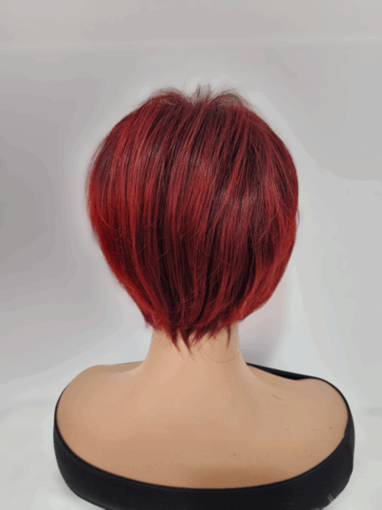 20241117 133232 1152x1536